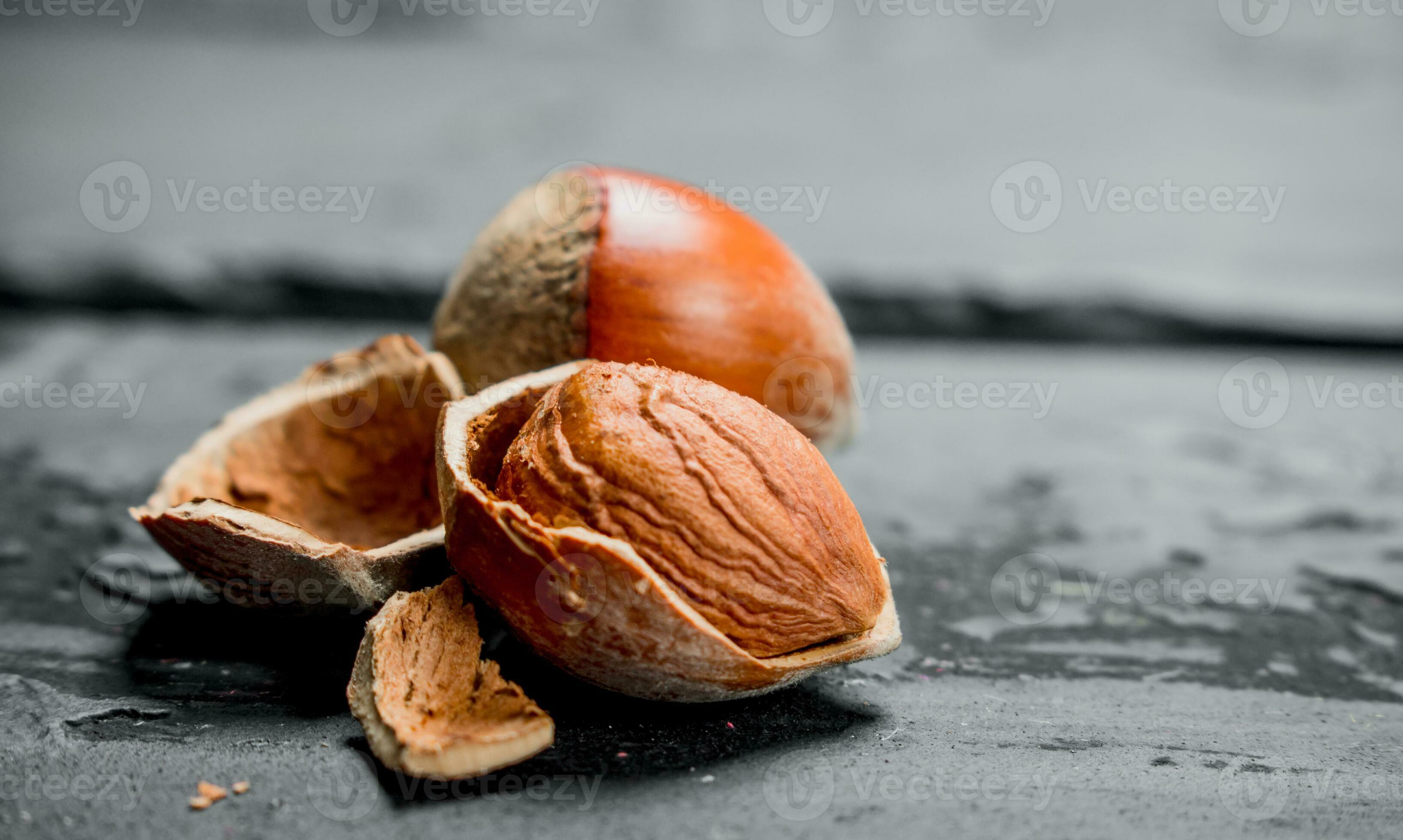 Hazelnuts in the shell . 32007177 Stock Photo at Vecteezy