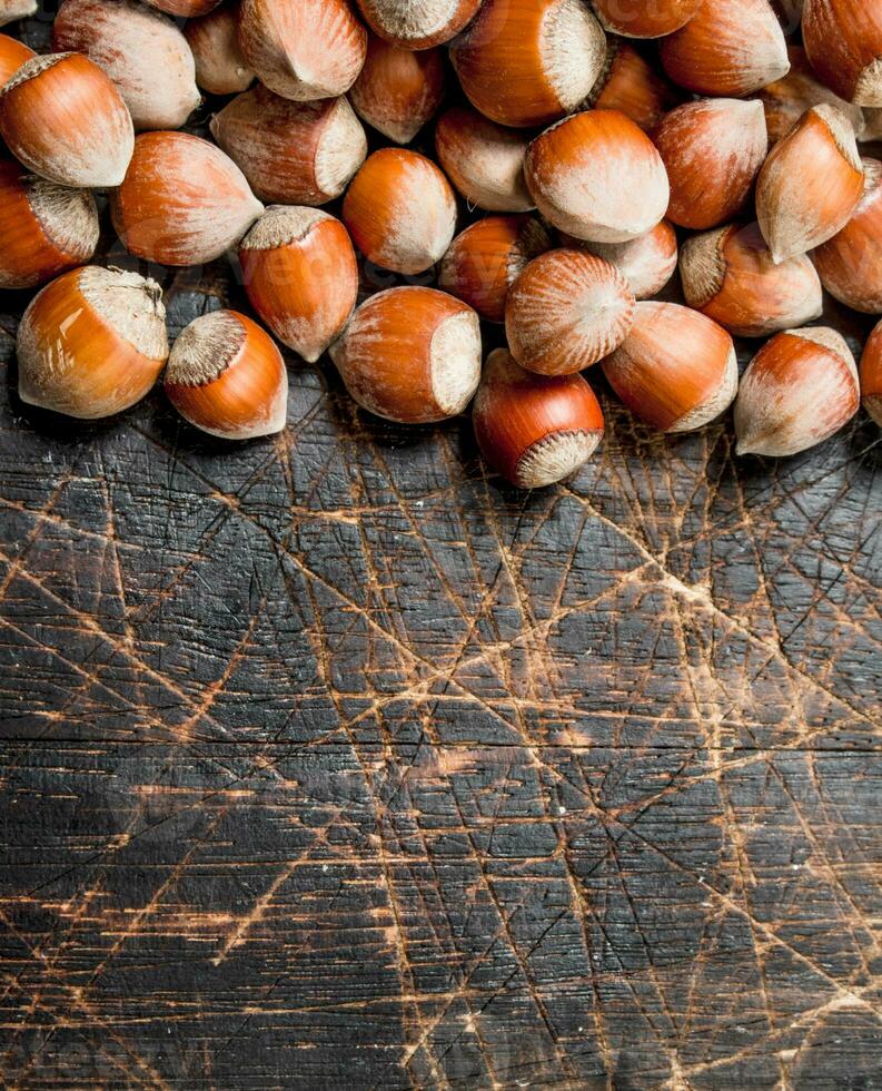 Hazelnuts in the shell. photo