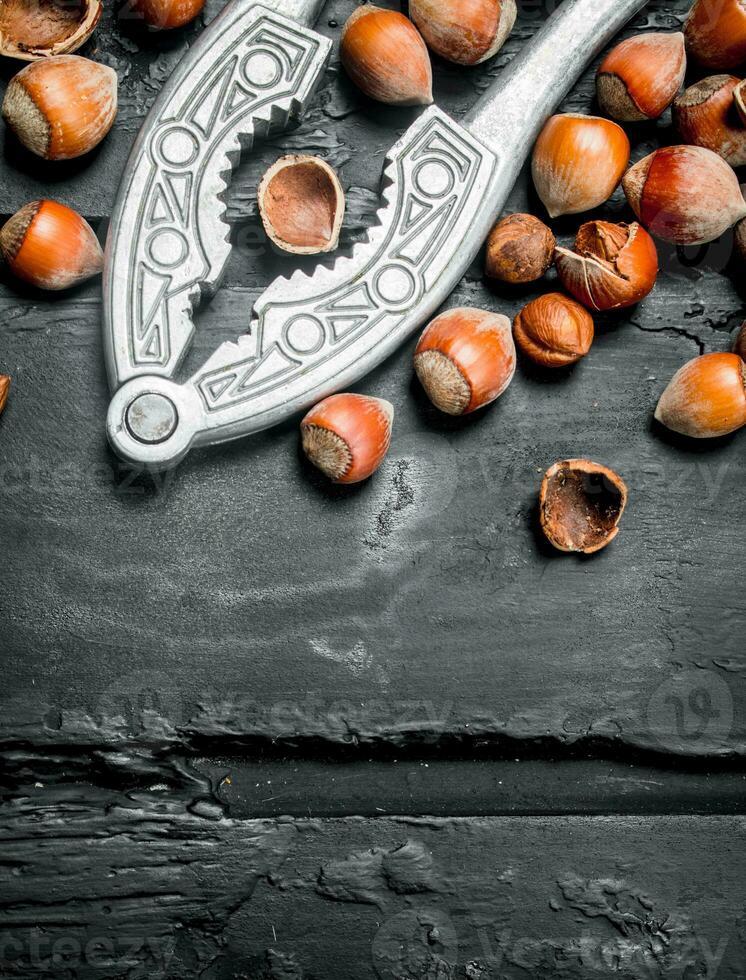 Hazelnuts in a shell with a Nutcracker. photo