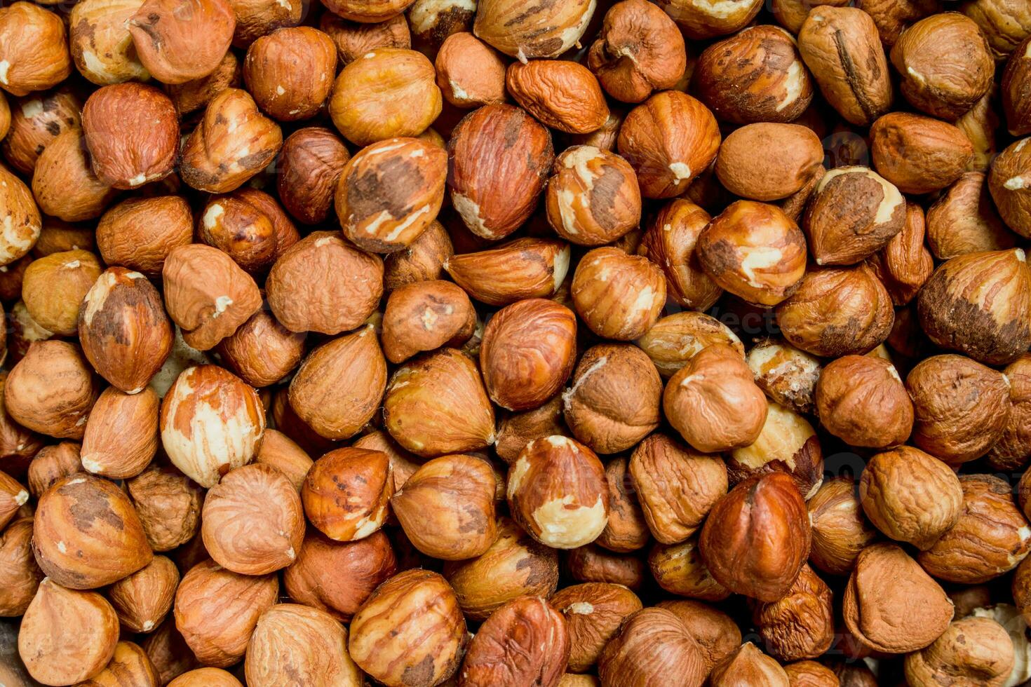 The texture of the shelled hazelnuts. photo