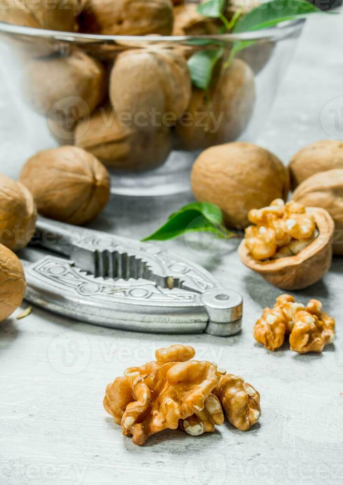 Shelled walnuts with a Nutcracker . . photo