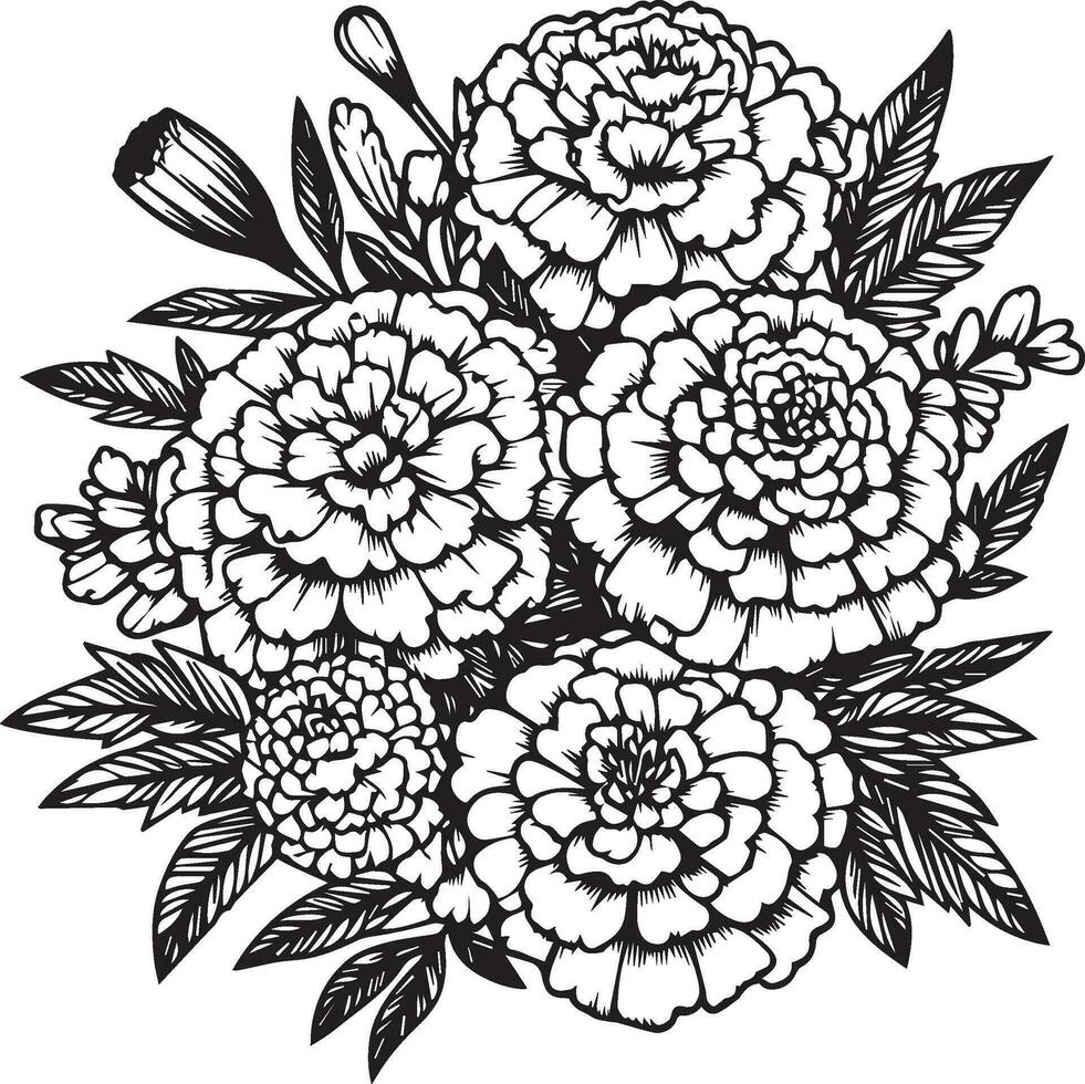 Birth flower marigold doodle marigold bouquet of flower design for card or print. hand-painted marogold flowers illustration isolated on white backgrounds, engraved ink art floral coloring pages vector