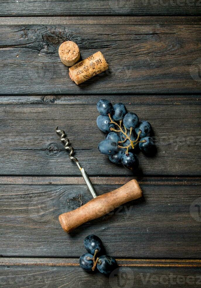 Wine background. Grapes with corkscrew and corks. photo
