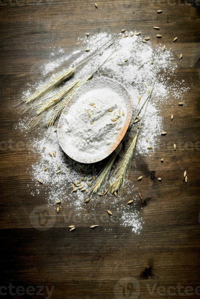 Wheat flour in bowl. photo