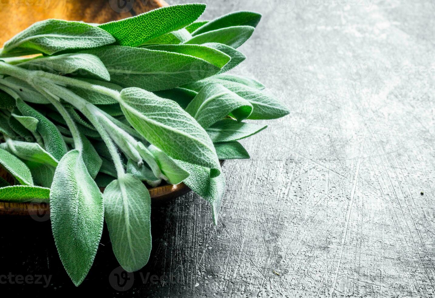 Salvia in a wooden plate. photo