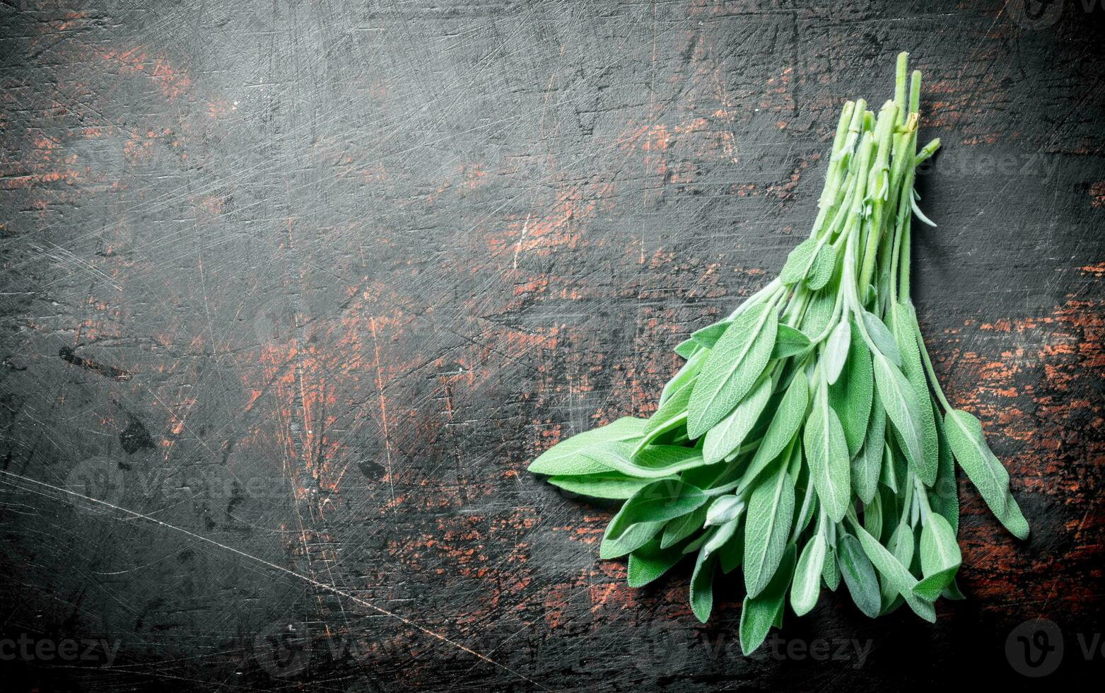 Healthy food. Fresh salvia. photo