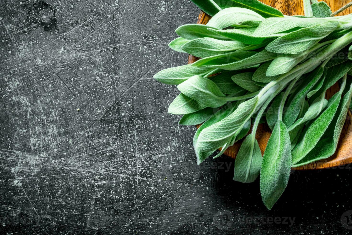 Salvia in a wooden plate. photo