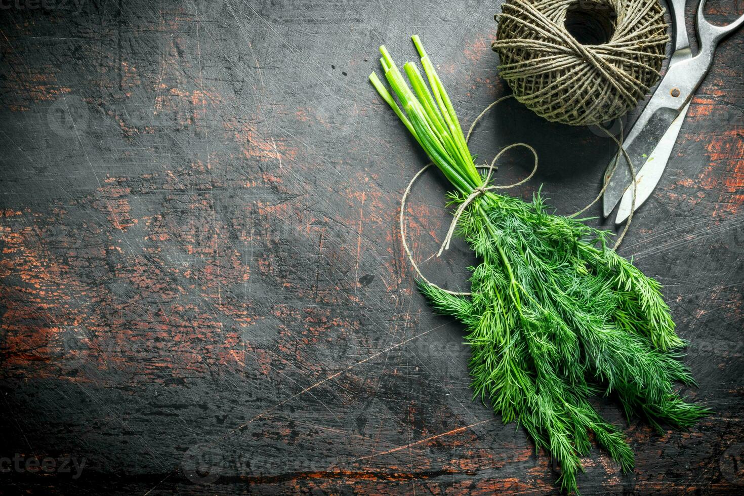 Dill cut in the home garden with twine. photo