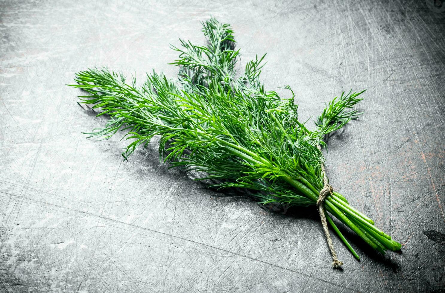 Bunch of fresh dill. photo