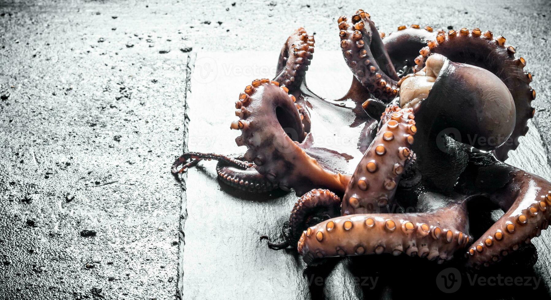 Fresh octopus on a stone Board. photo