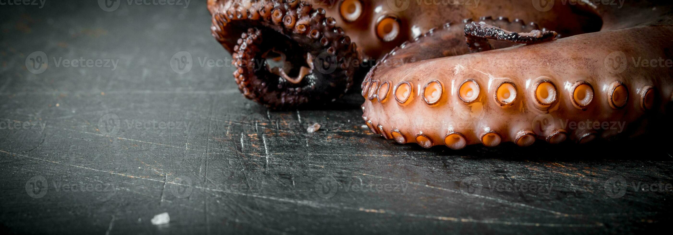 Freshly cooked octopus. photo