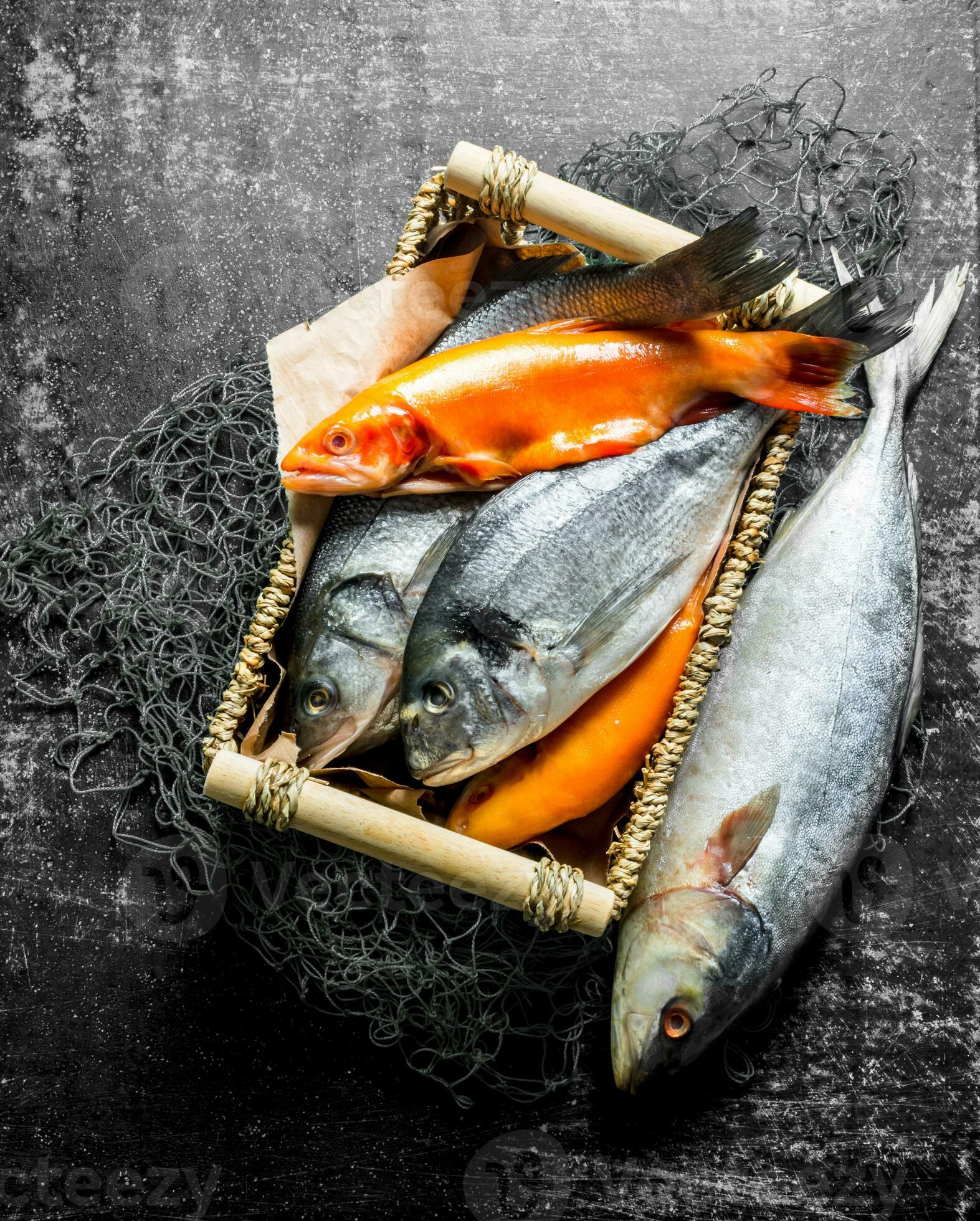 Raw fish in the box. 32018589 Stock Photo at Vecteezy