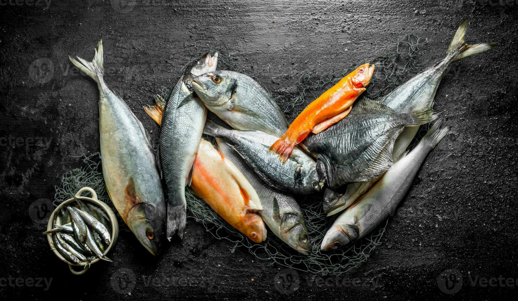Assortment of different fresh fish on the fishing net. photo