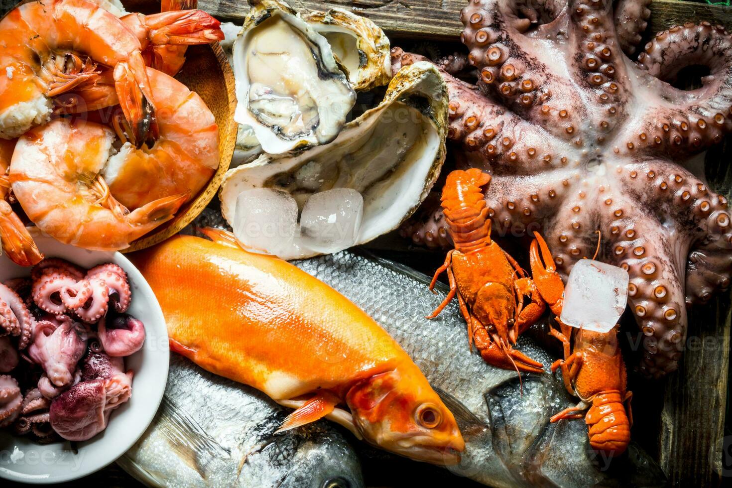 A variety of fresh seafood with ice cubes. photo