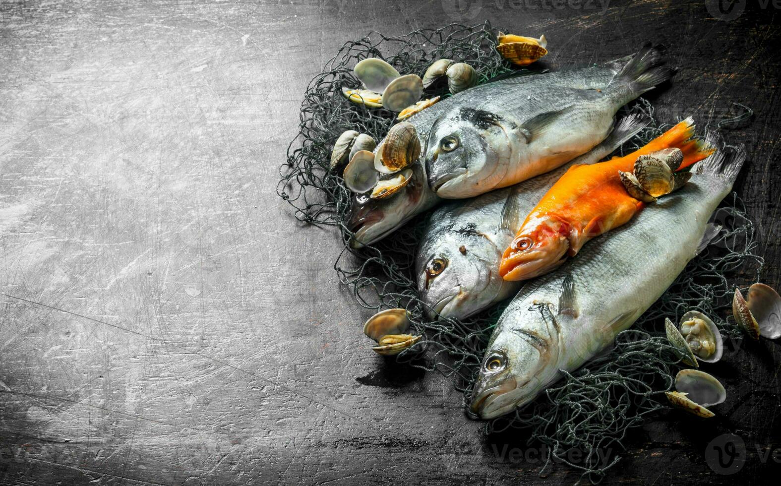 Various raw fish on fishing net with oysters. photo