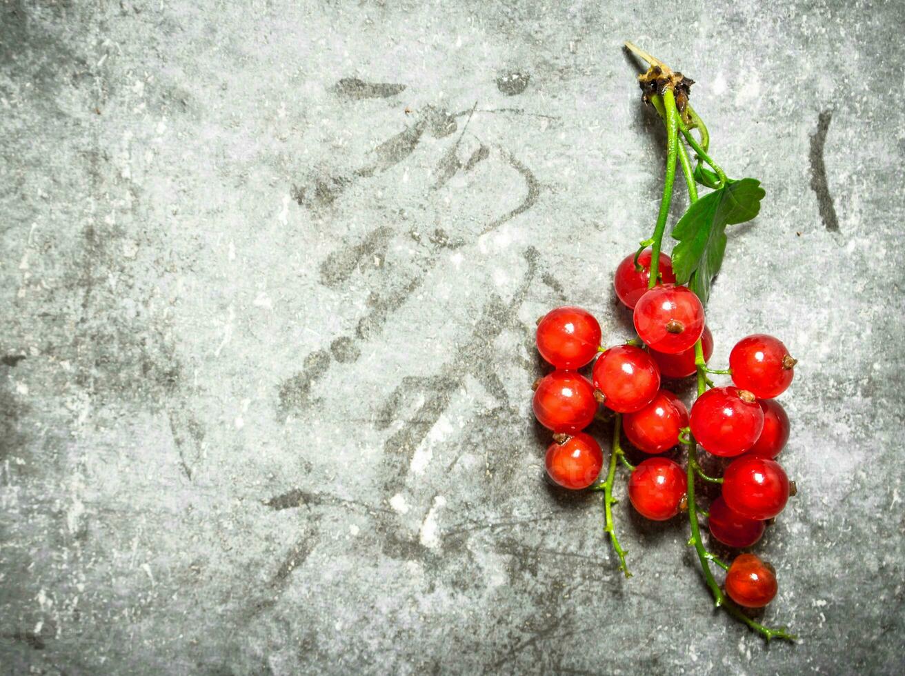 Branch of red currants. On stone background. photo