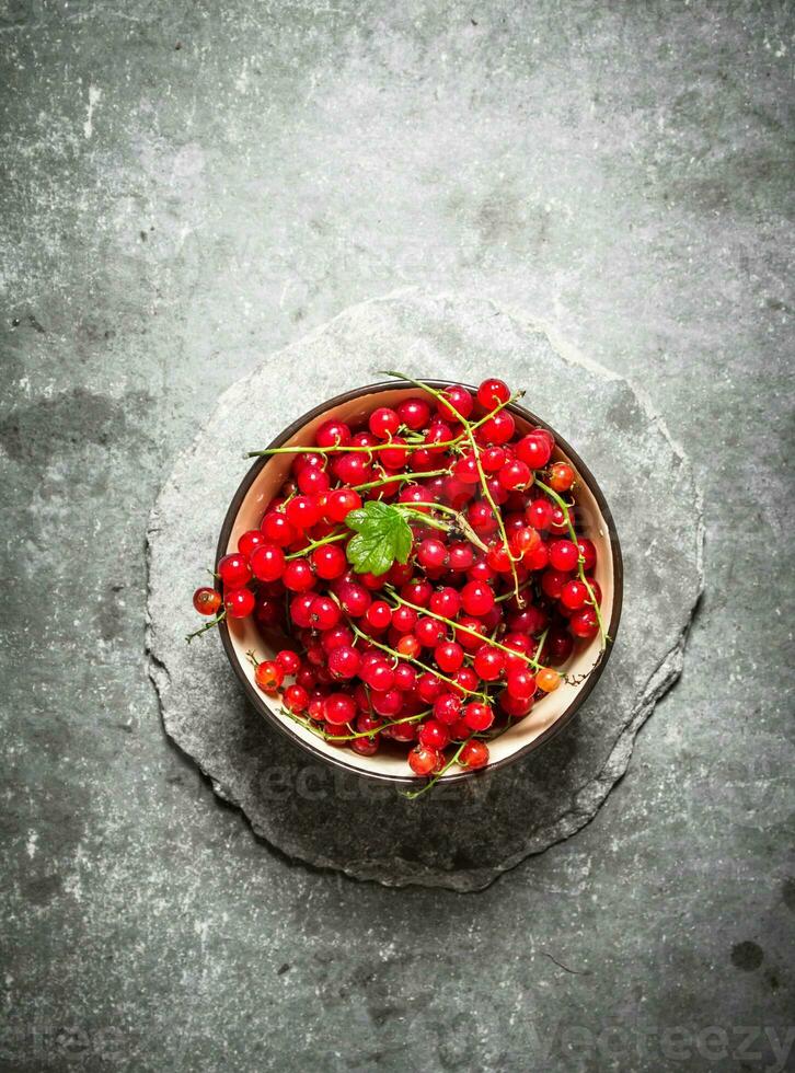 Red currant in the Cup. On stone table. photo