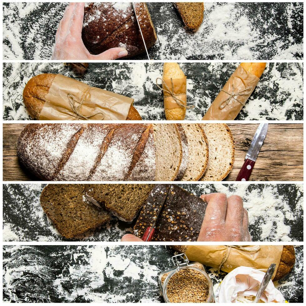 Food collage of bread . photo