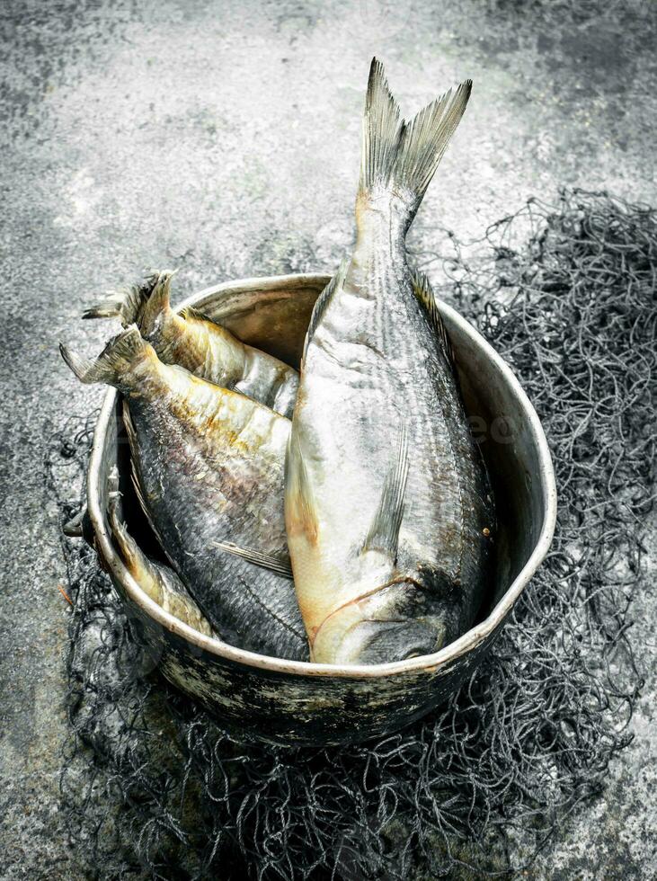 Fresh fish in a bucket with a fishing net. 32022955 Stock Photo at Vecteezy