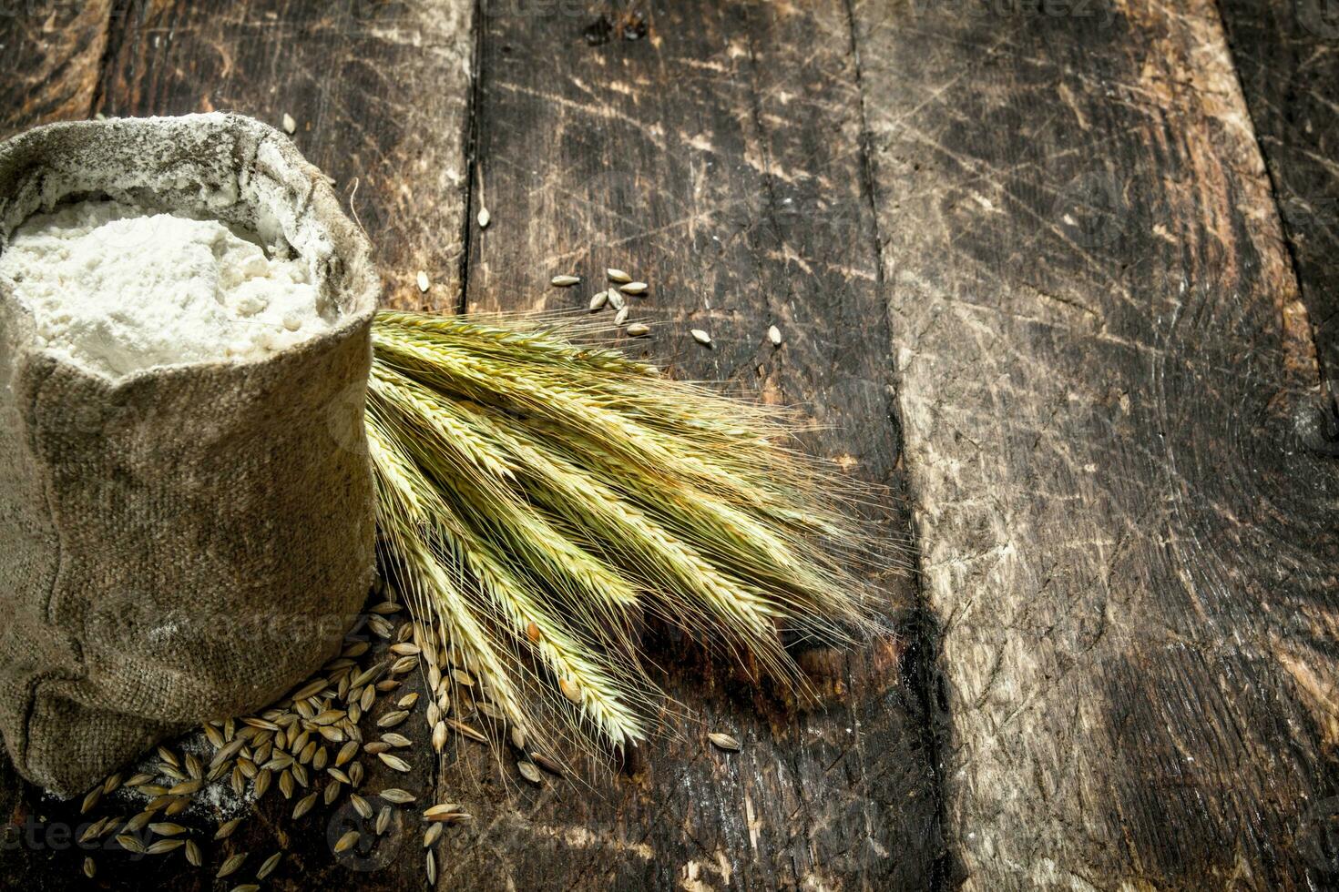 bag of flour and spikelets of wheat. photo
