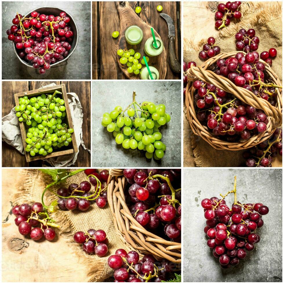 Food collage of red and white grapes. photo