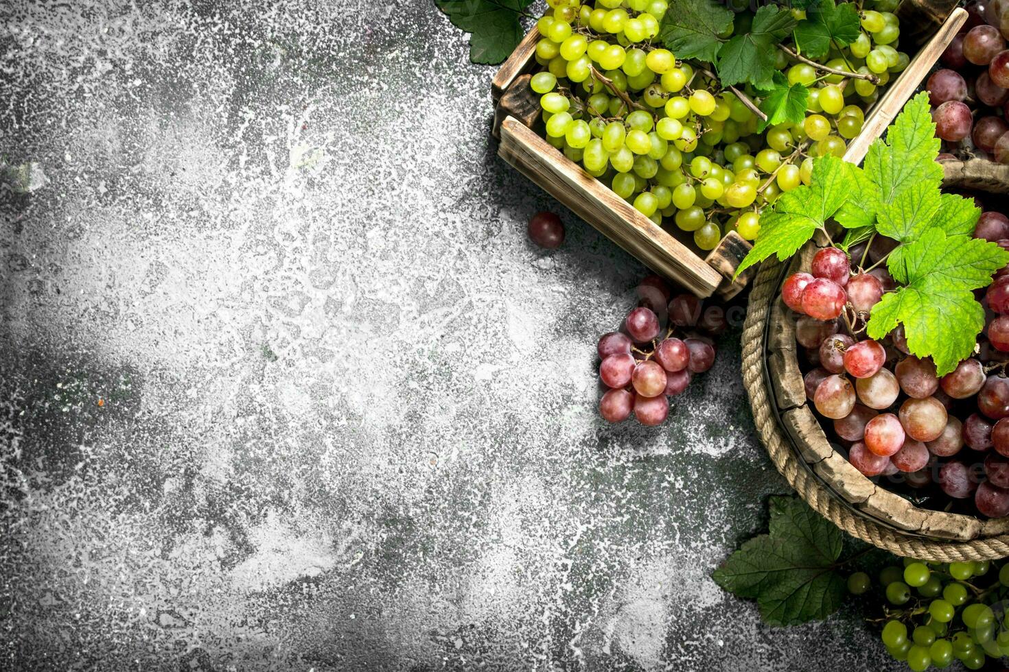 Fresh grapes in a wooden bucket. photo