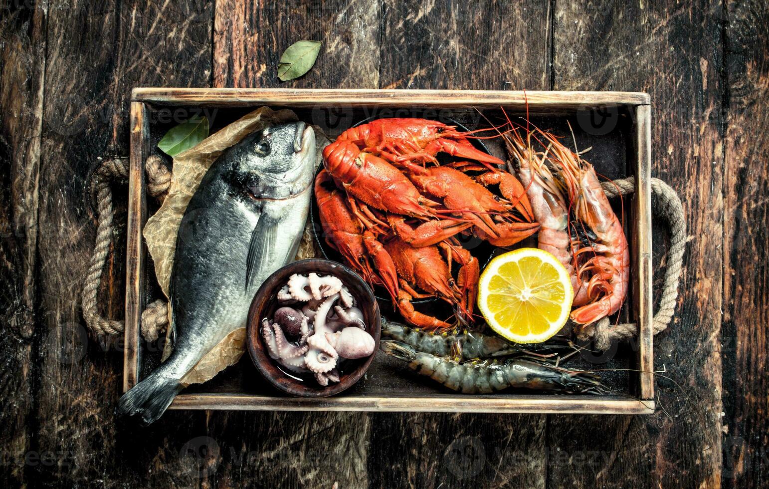 Seafood in an old tray. photo