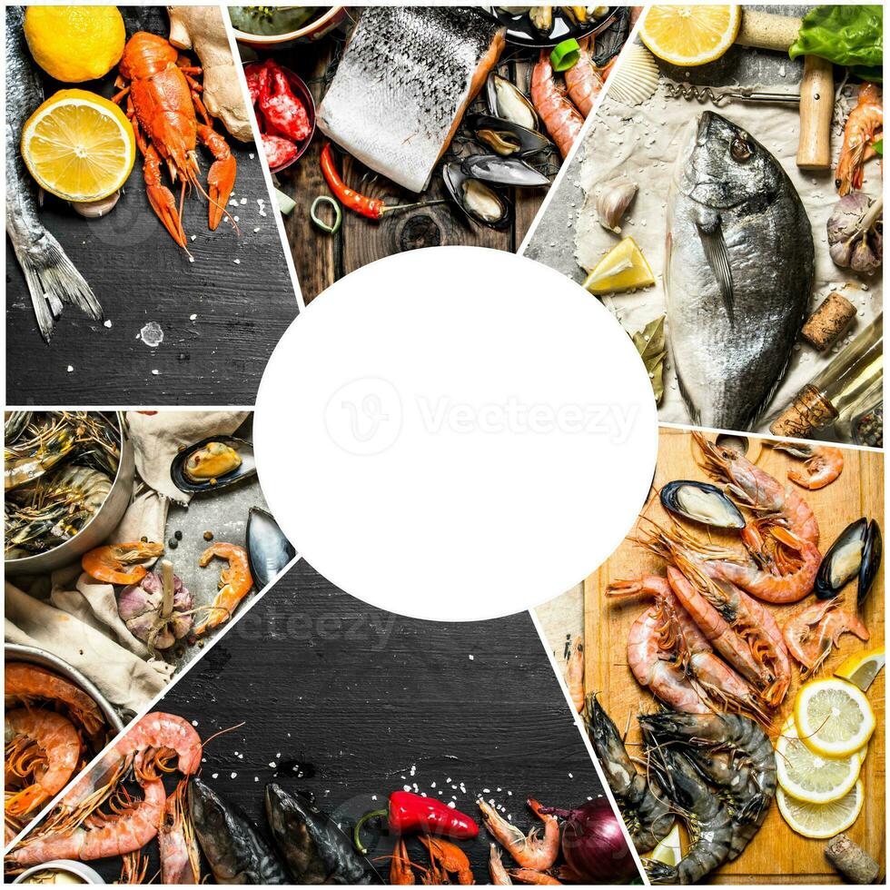 Food collage of seafood . photo
