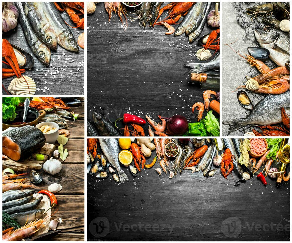 Food collage of seafood . photo