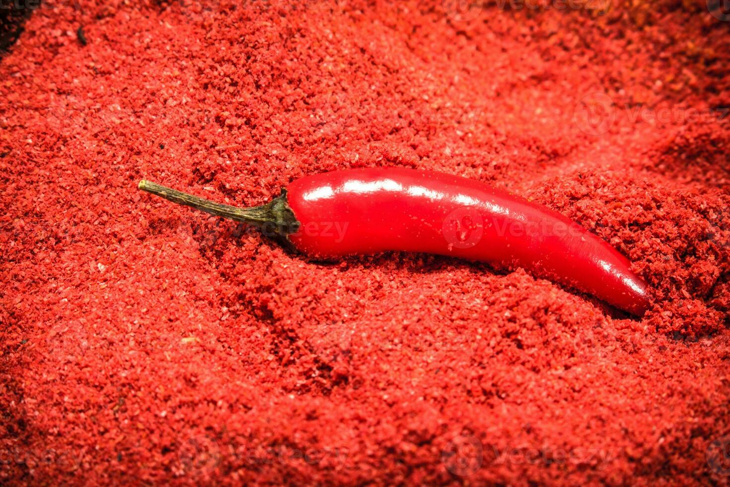 Ground red pepper . photo