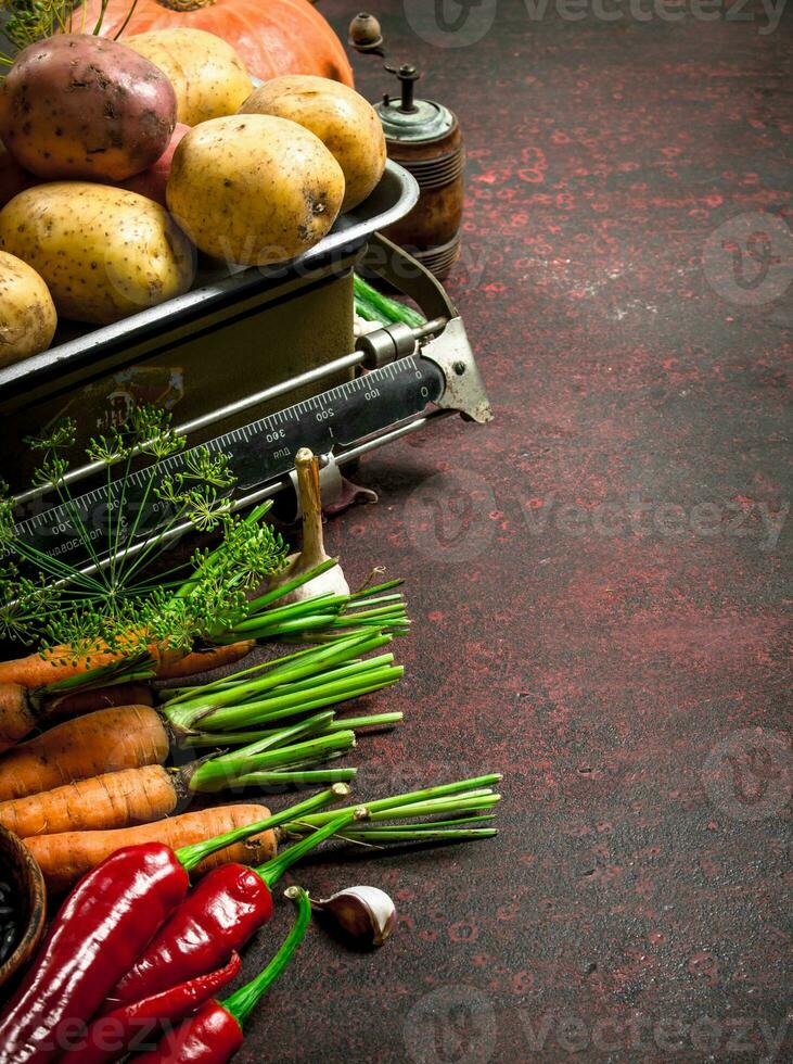 Organic food. Harvest of fresh vegetables. photo