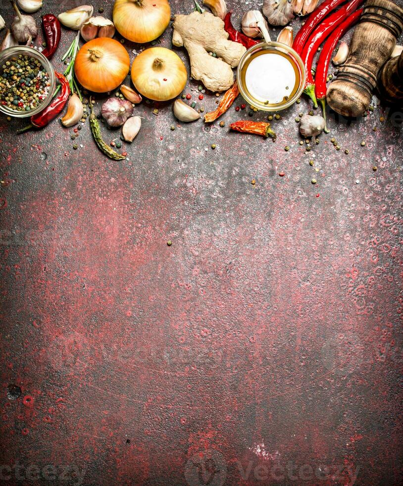 Fresh spices. A variety of aromatic spices with chili peppers and onions. On rustic background. photo