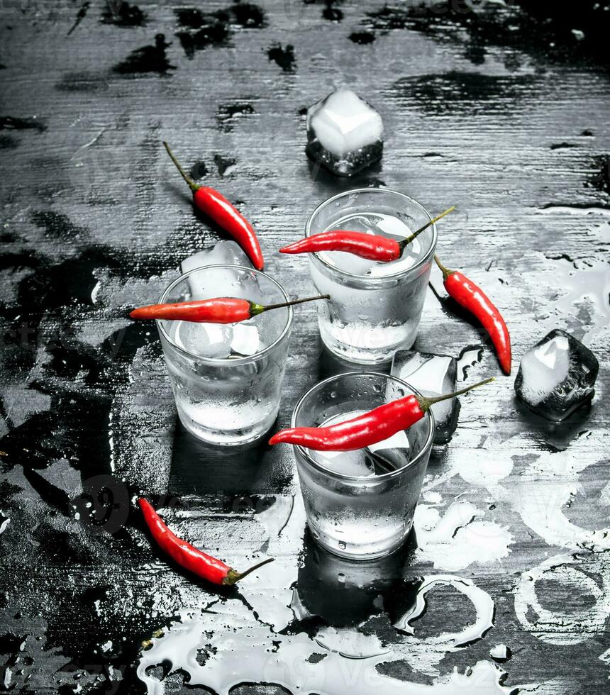 Vodka shots with hot chili peppers and ice. photo