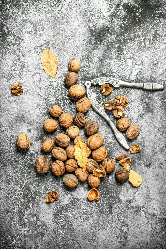 Walnuts with Nutcracker. photo