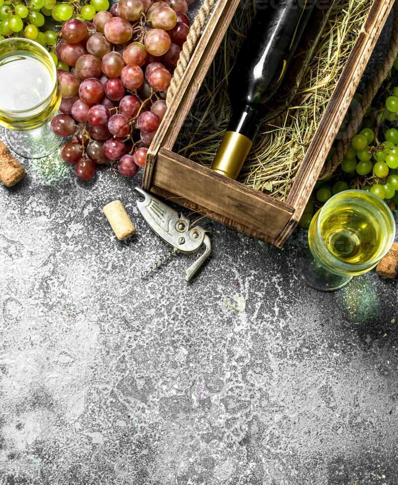 Wine background. Red and white wine from fresh grapes. photo