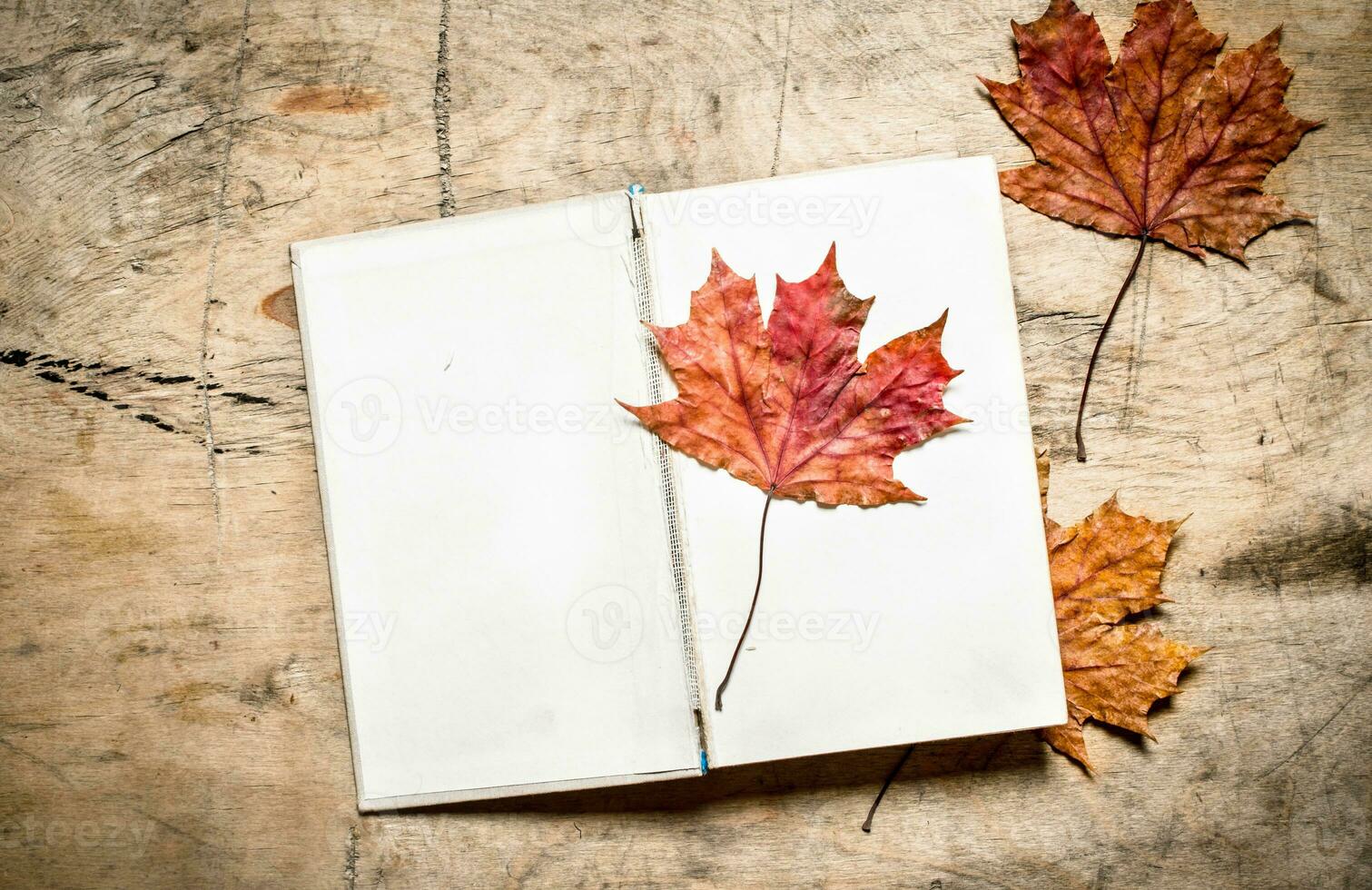 Old books and autumn leaves. photo