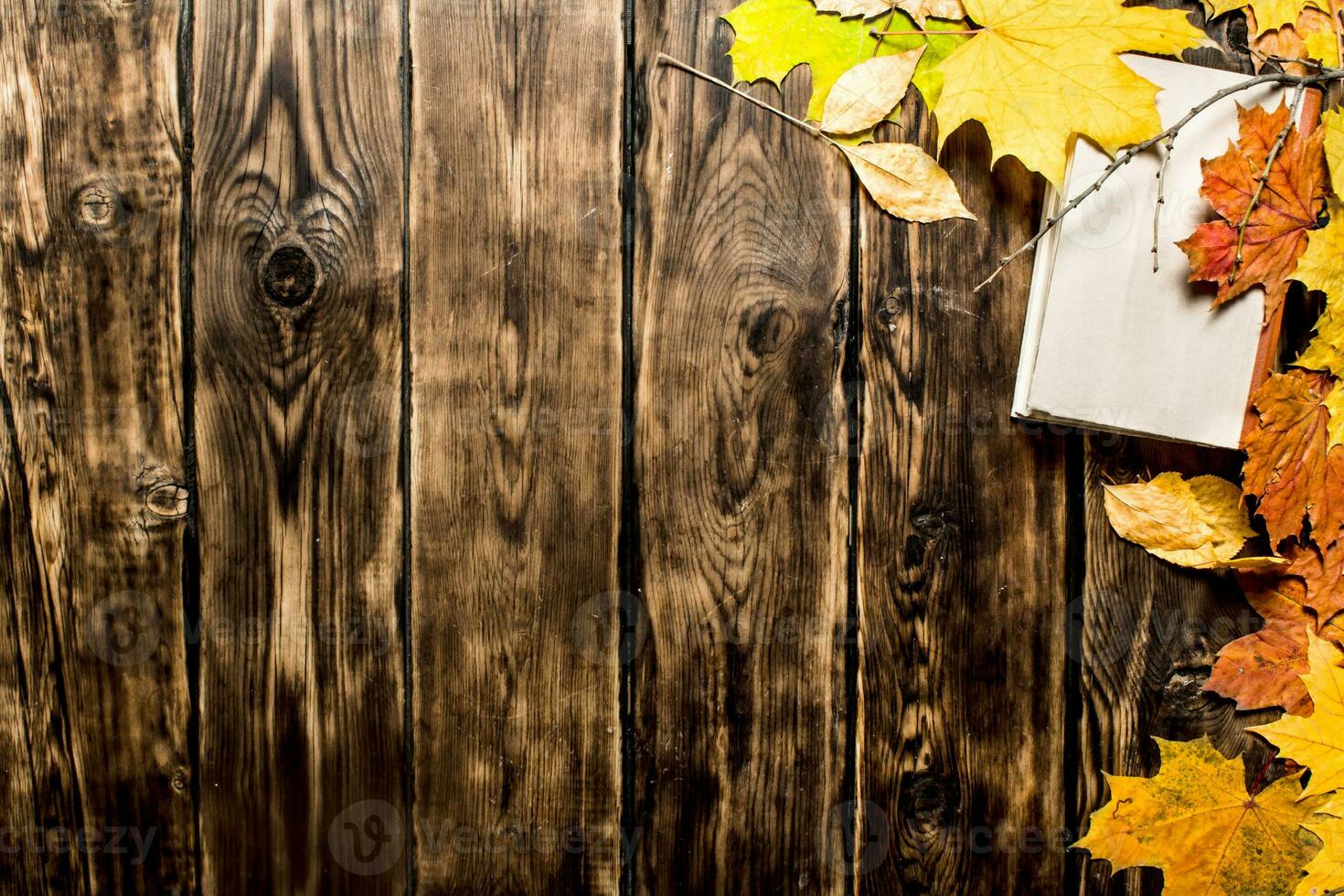 Old books and autumn leaves. photo