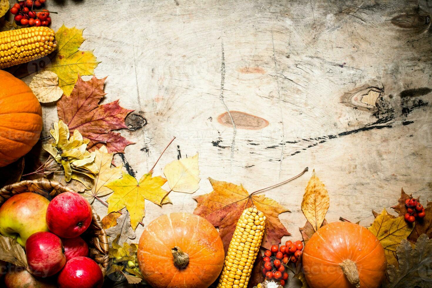 Autumn fruits and vegetables. photo
