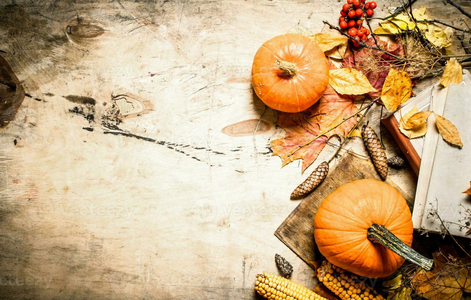 Autumn vegetables with an old book. photo