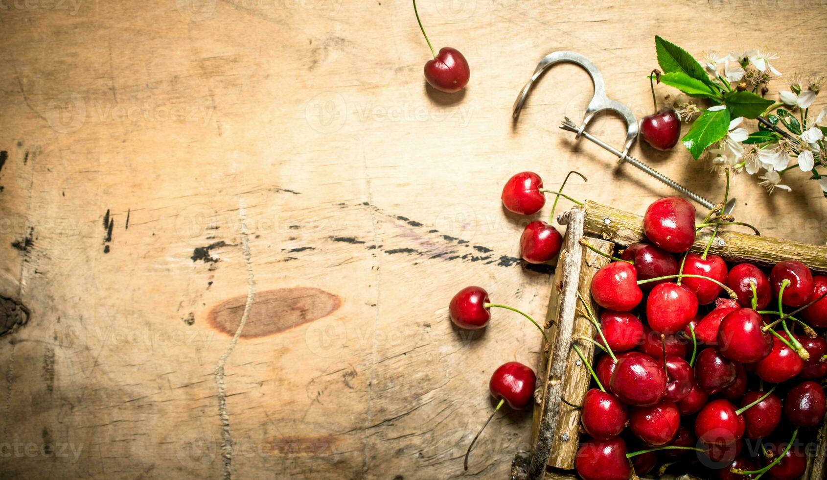 Basket cherry and flowers photo