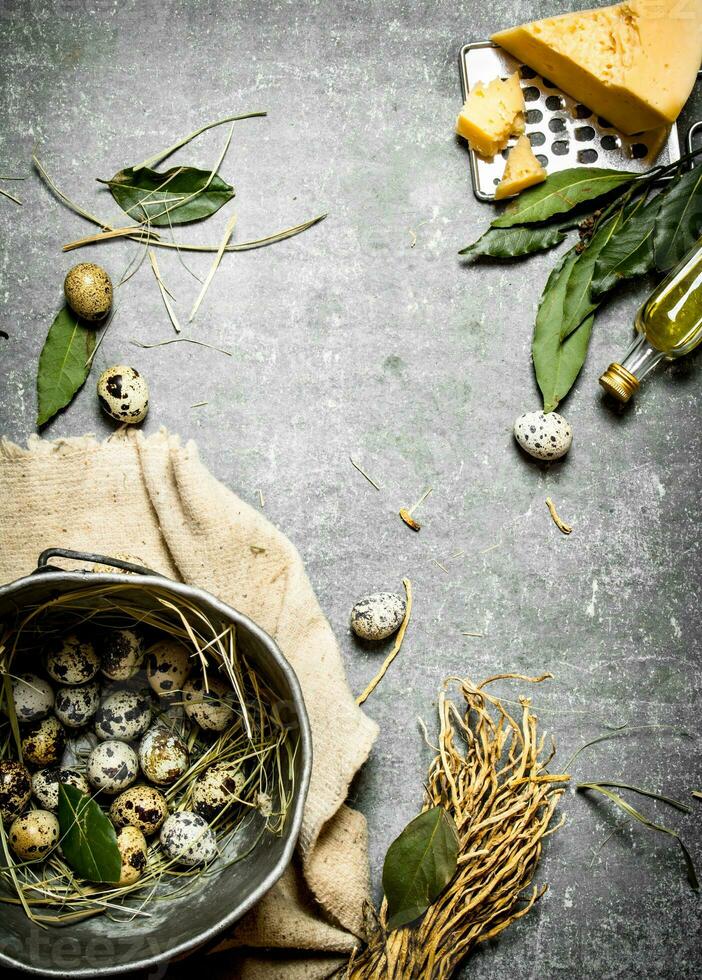 Quail eggs in a pot and cheese with spices. photo