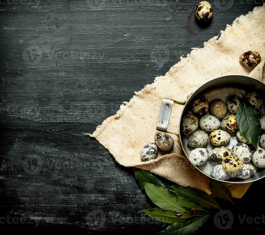 Quail eggs in a saucepan photo