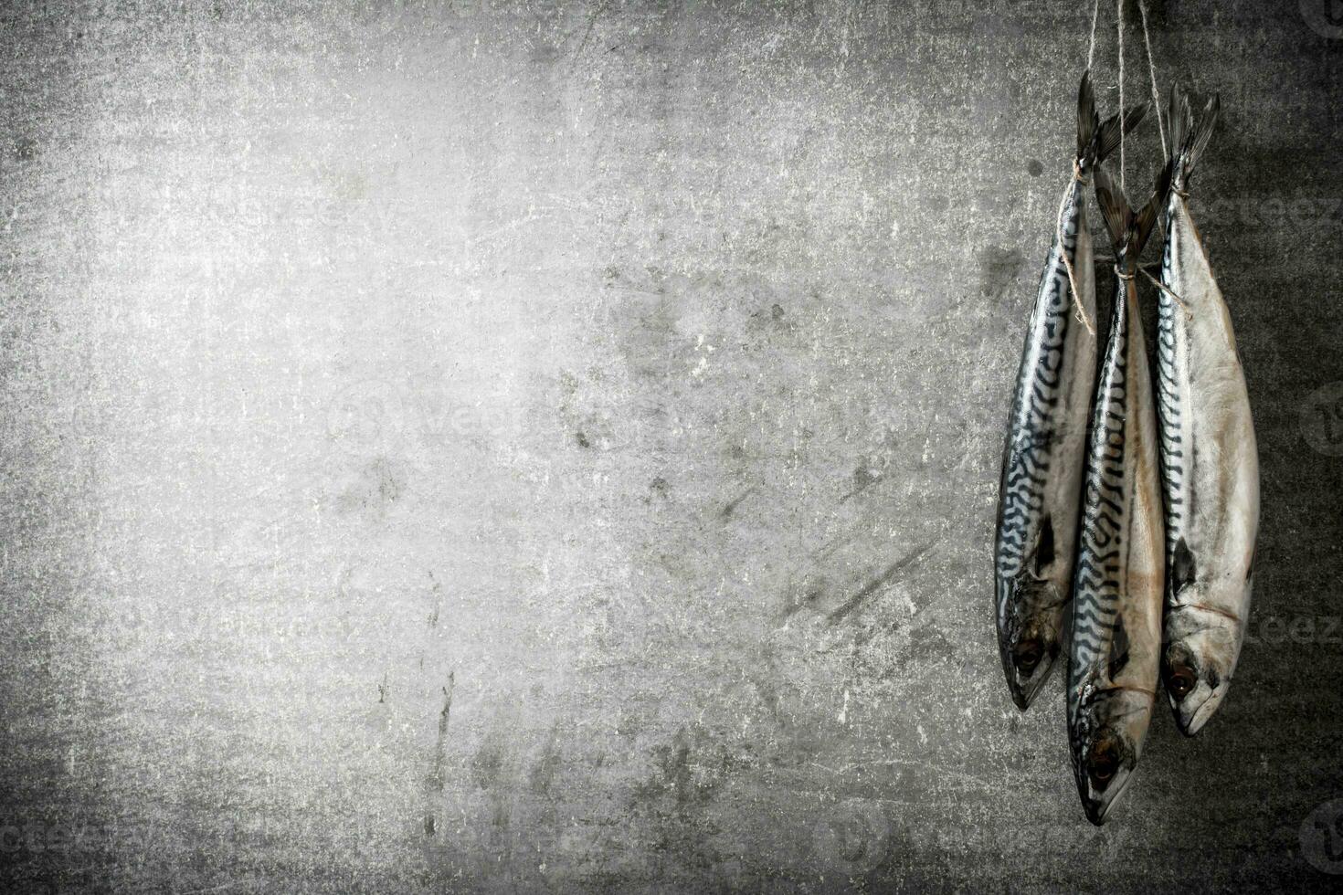 Raw fish hanging on a rope. photo
