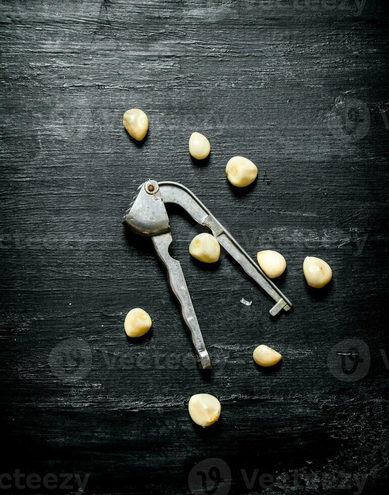 Fresh garlic  On black chalkboard. photo