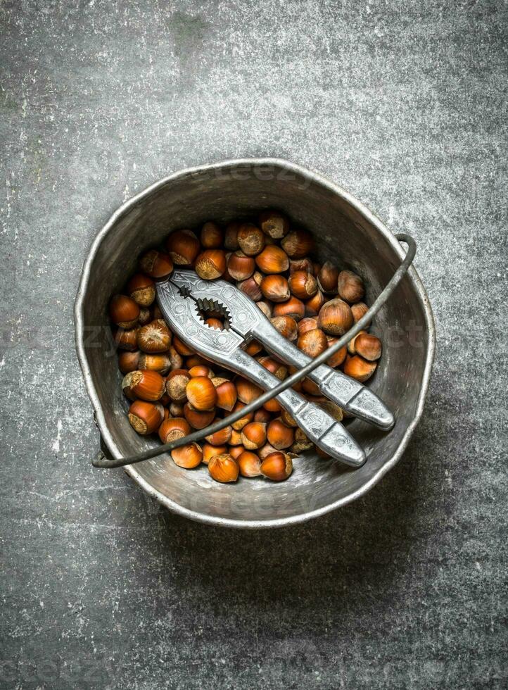 Hazelnuts with Nutcracker in the old pot. photo