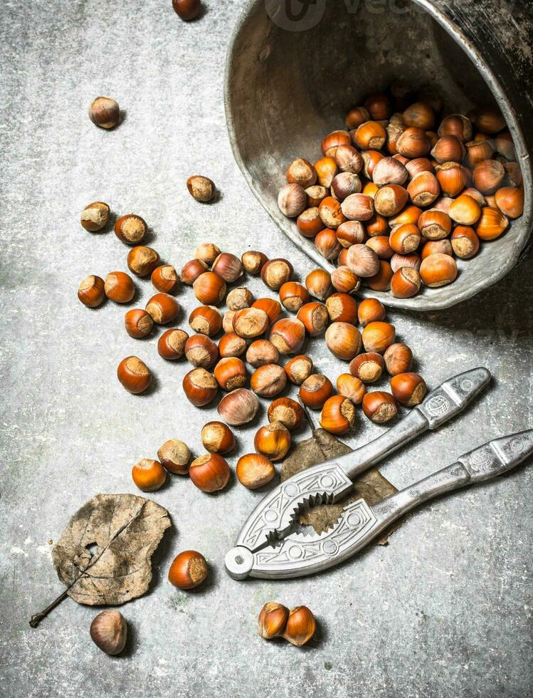 Nuts in the old pot. photo
