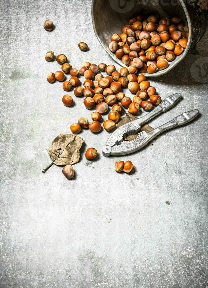 Nuts in the old pot. photo