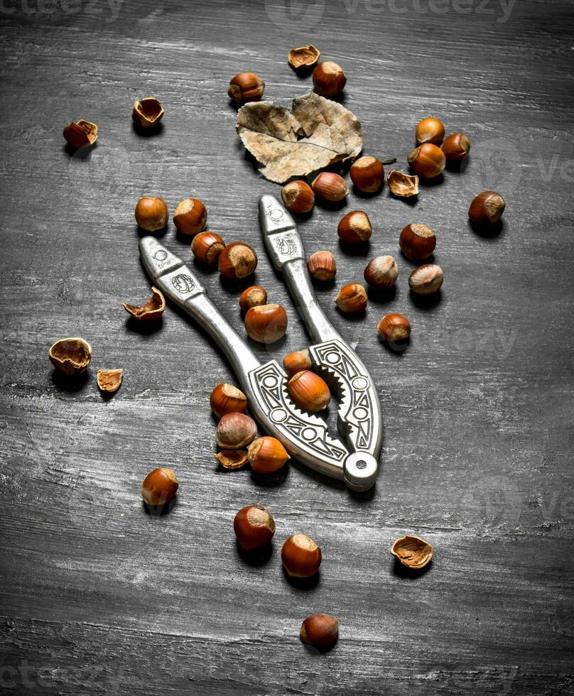 The Nutcracker with hazelnuts and dried leaves. photo