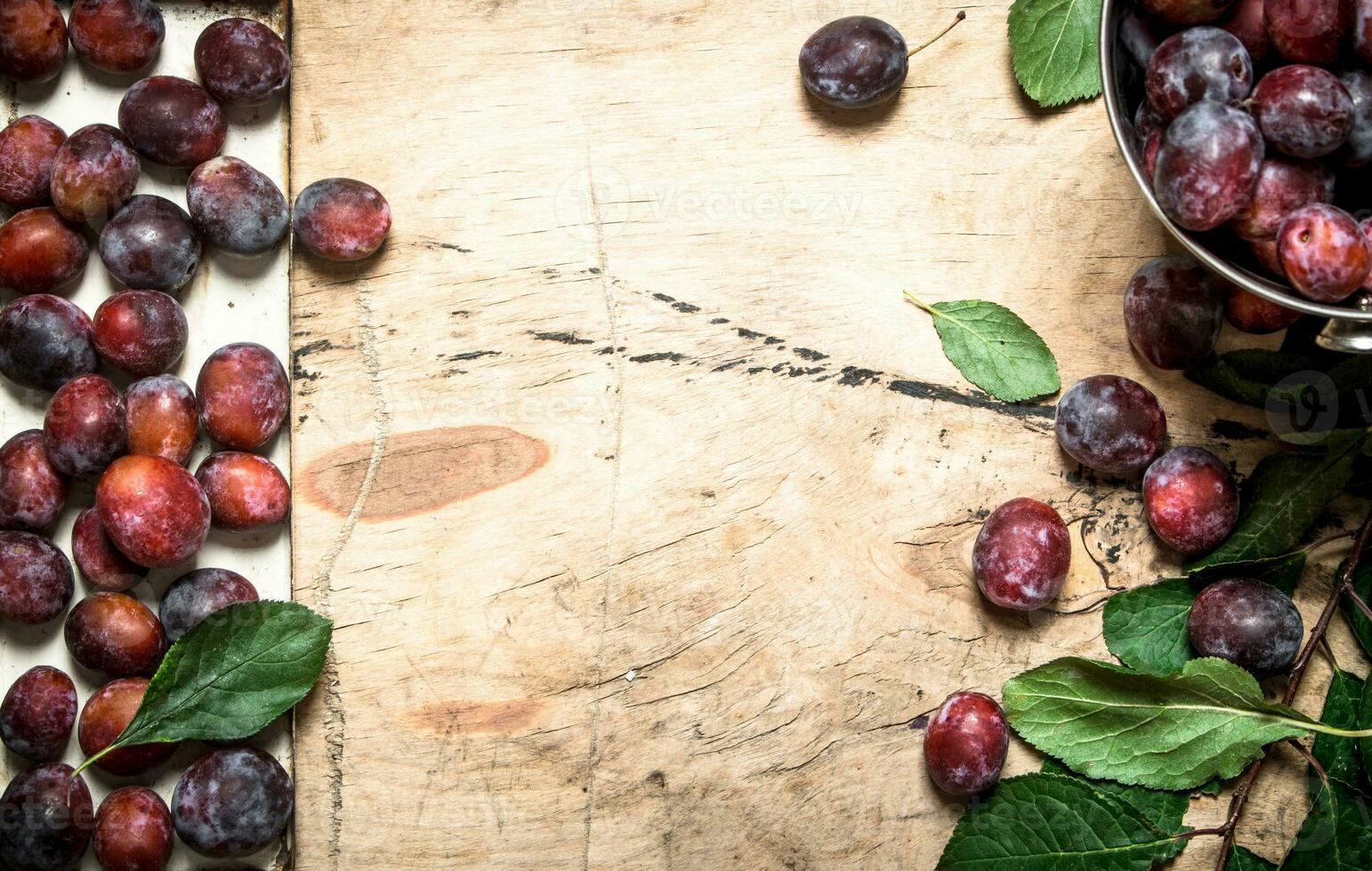 Ripe plums in the bucket. photo