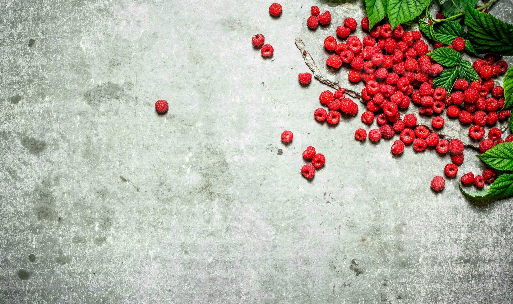 Red raspberry with leaves. photo
